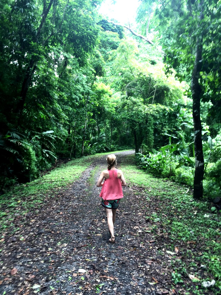 panama city rainforest parque natural metropolitano panama city struckblog