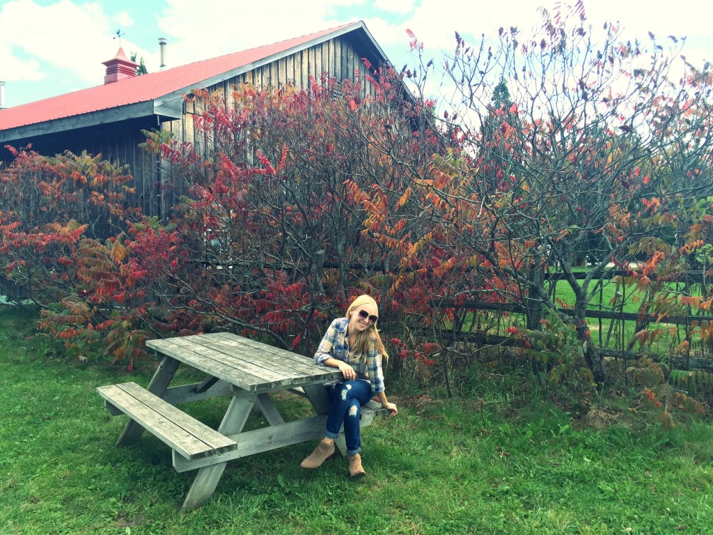 struckblog apple orchard | fall fashion |toronto apple orchard |greater toronto area apply picking | fall style 