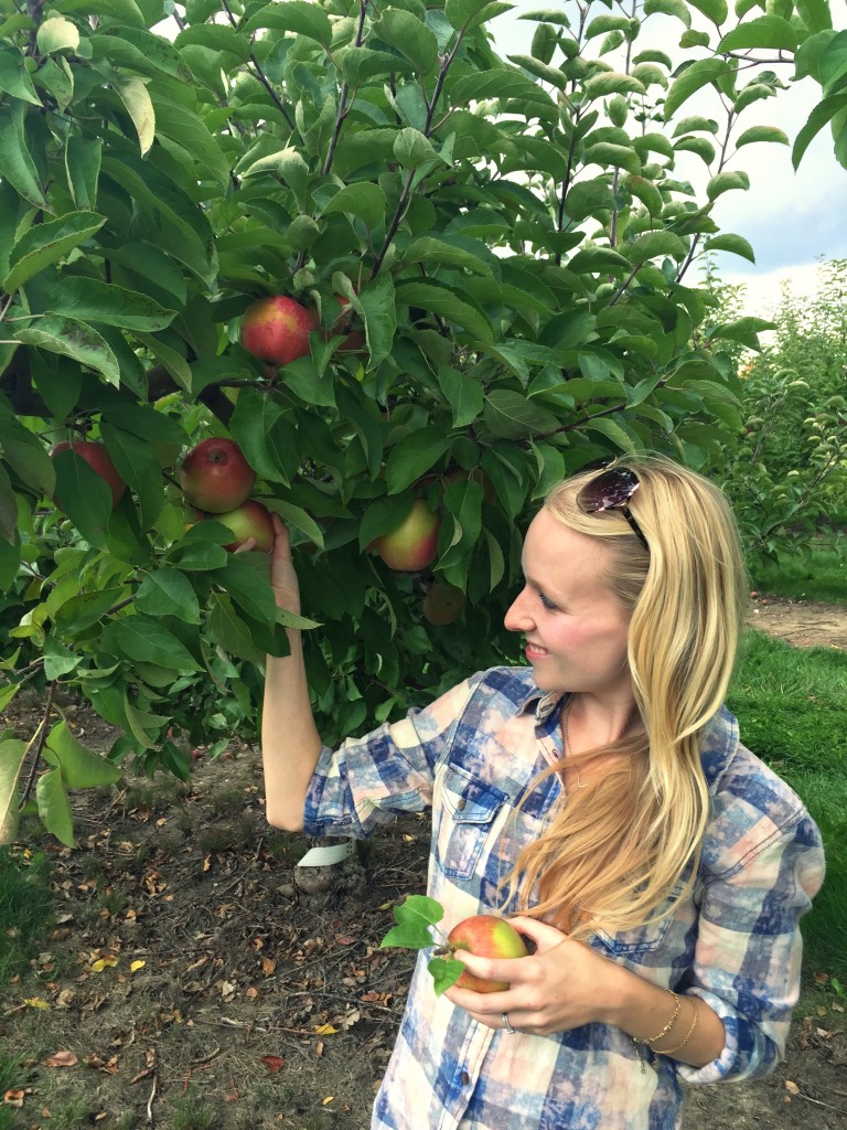 struckblog apple orchard | fall fashion |toronto apple orchard |greater toronto area apply picking | fall style 