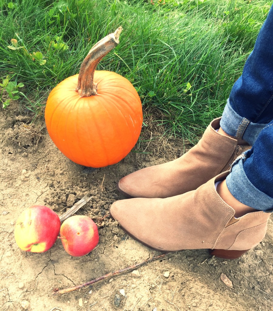 struckblog apple orchard | fall fashion |toronto apple orchard |greater toronto area apply picking | fall style| aldo booties |neutral beige booties 