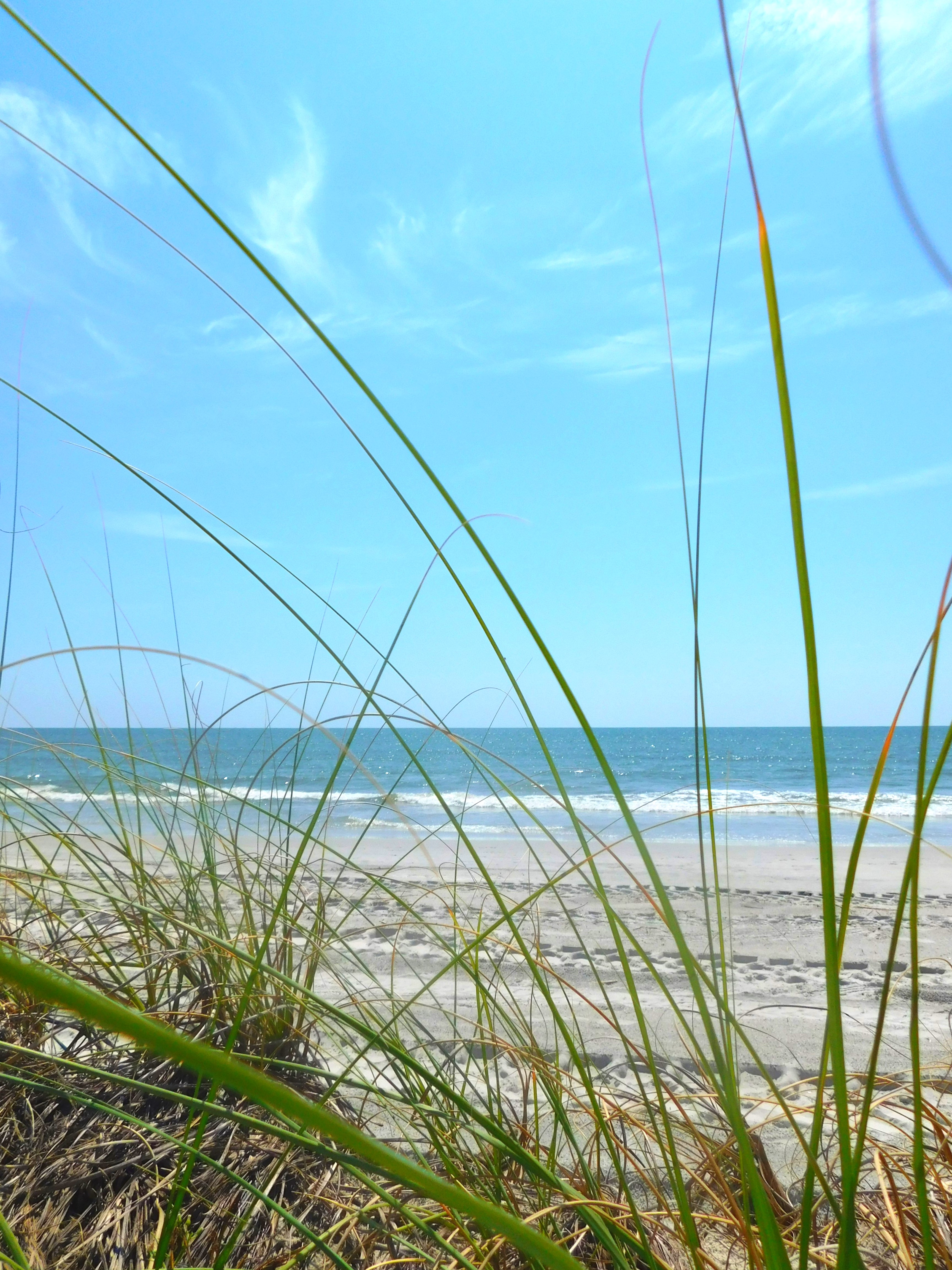 hilton head island beach 