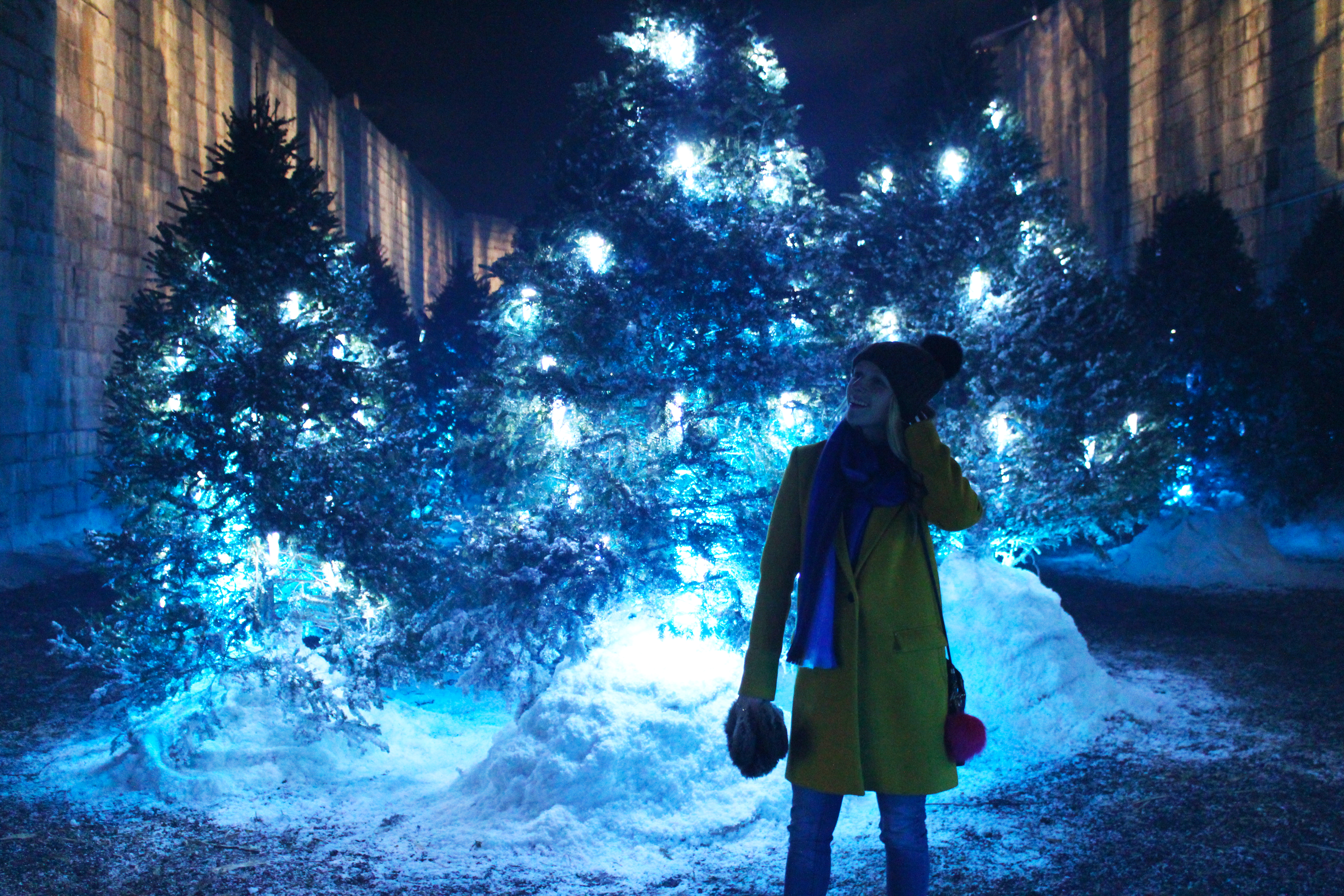 struckblog-lumina-borealis-things-to-do-in-winter-kingston