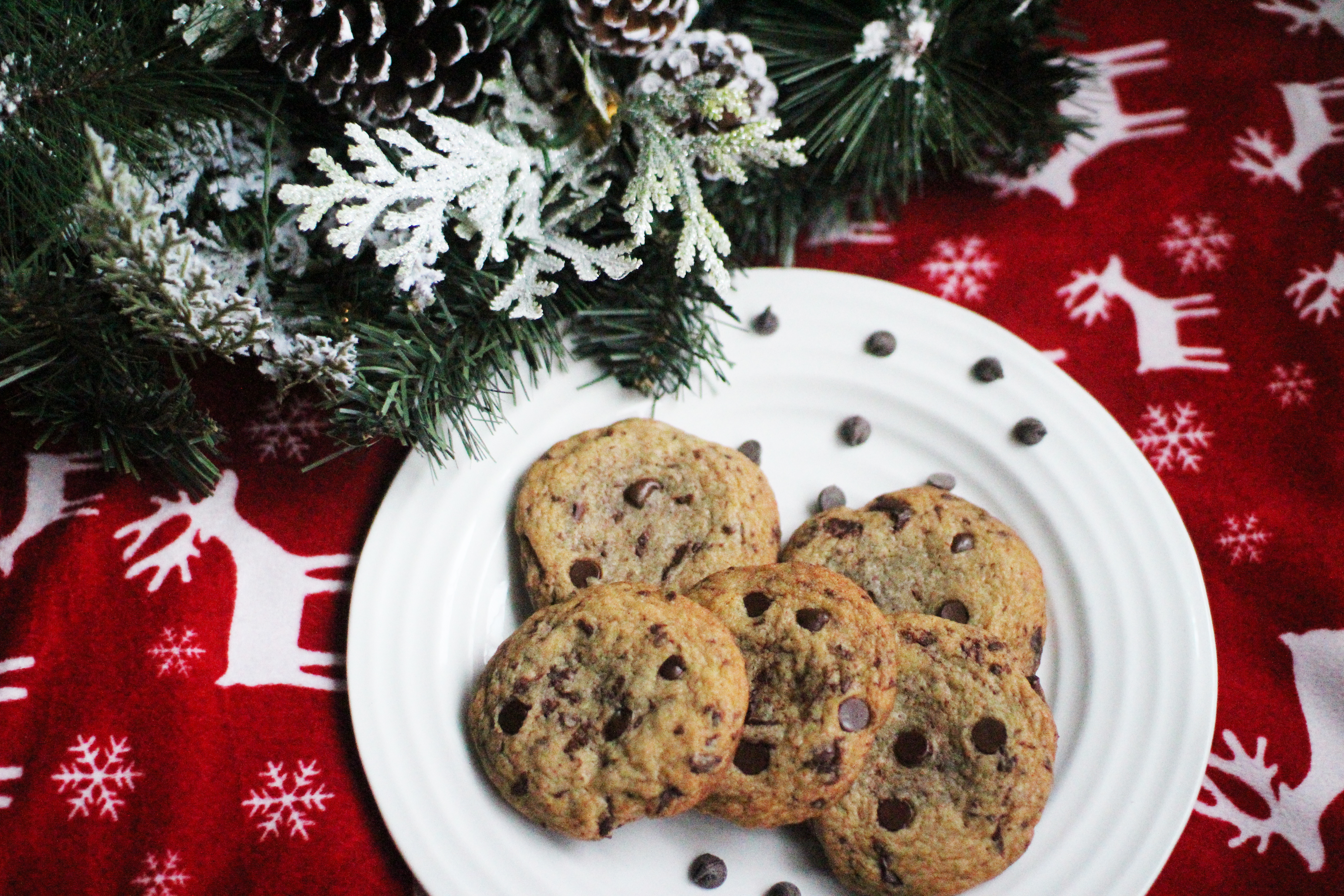 chocolate chirstmas cookies